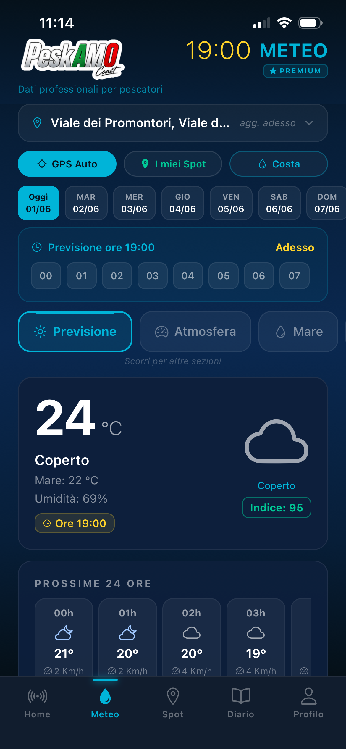 PeskAMO Meteo